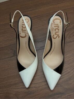 Circus by Sam Edelman Black and White Pointed Slingback Pumps